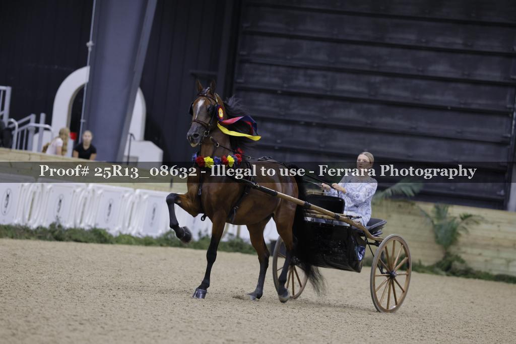 Proof 25R13_08632
