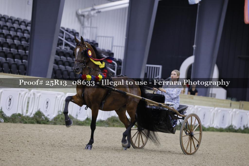 Proof 25R13_08633