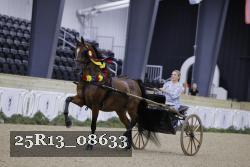 25R13_08633 proof