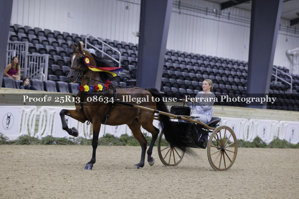 Proof 25R13_08634