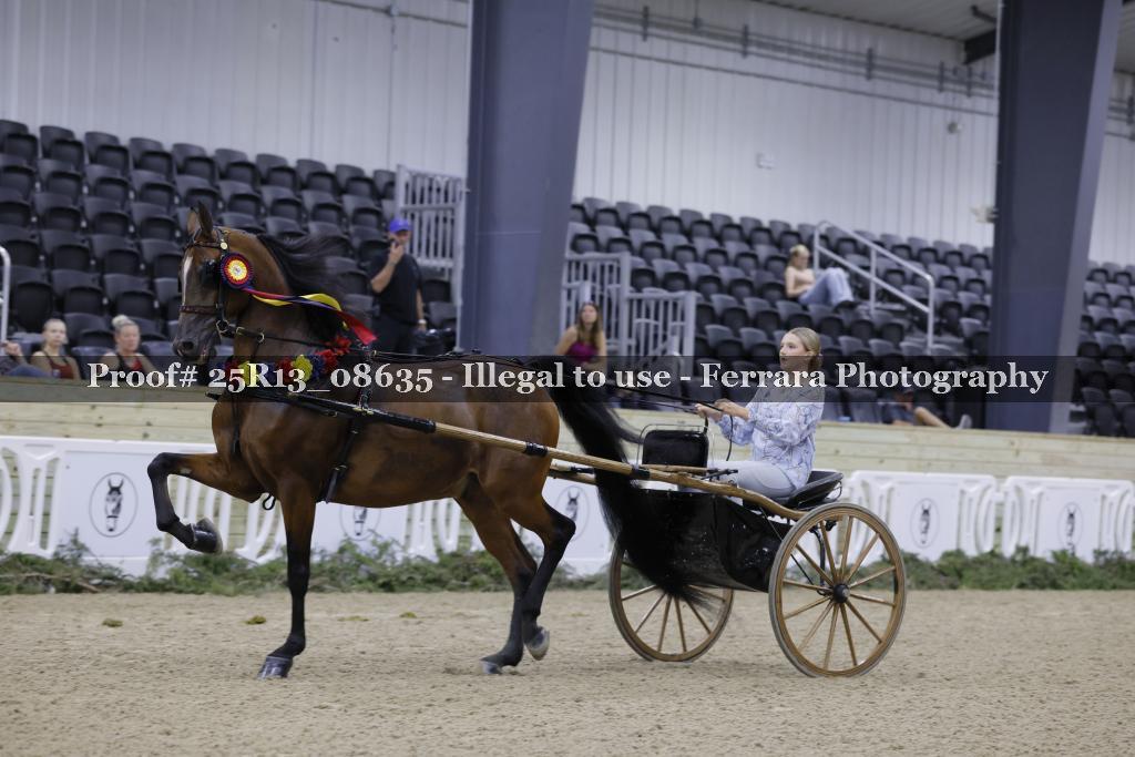 Proof 25R13_08635