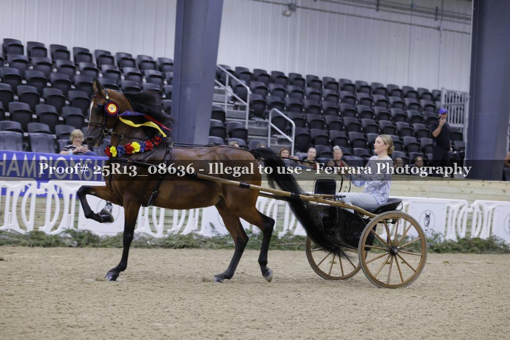 Proof 25R13_08636