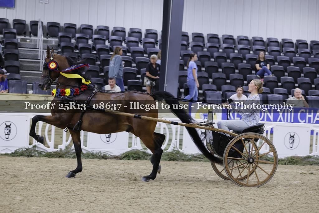 Proof 25R13_08637