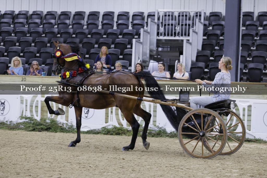 Proof 25R13_08638