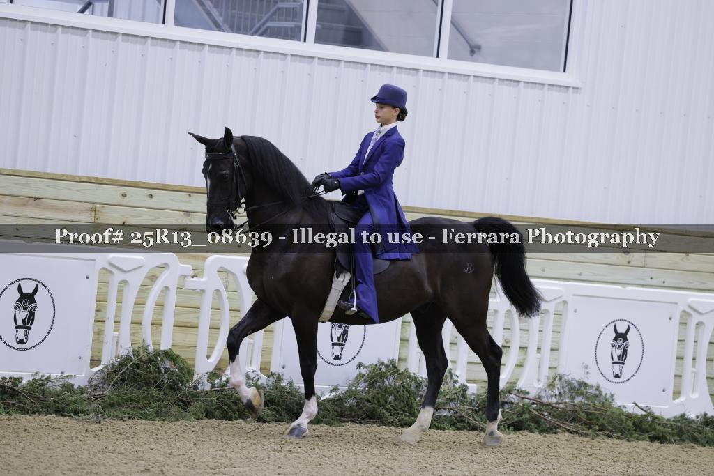 Proof 25R13_08639