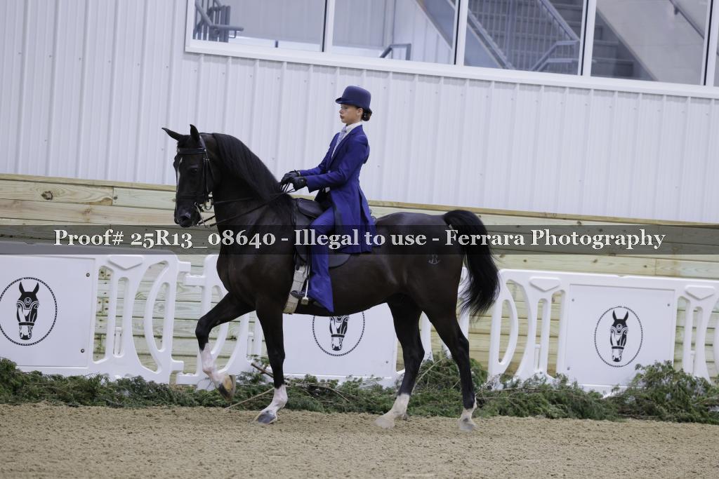 Proof 25R13_08640