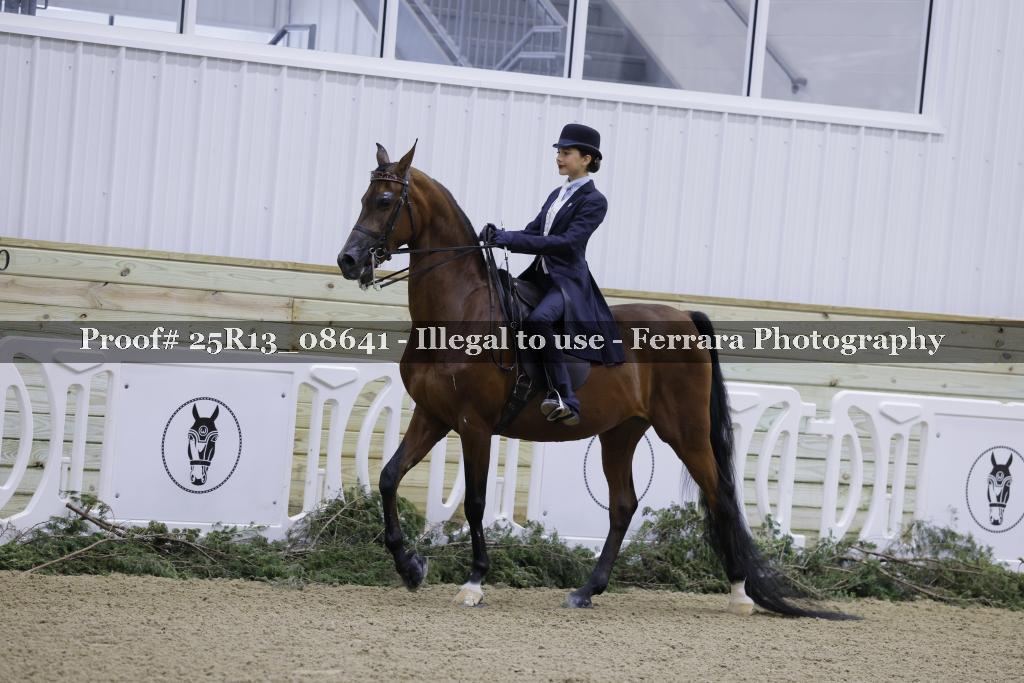 Proof 25R13_08641