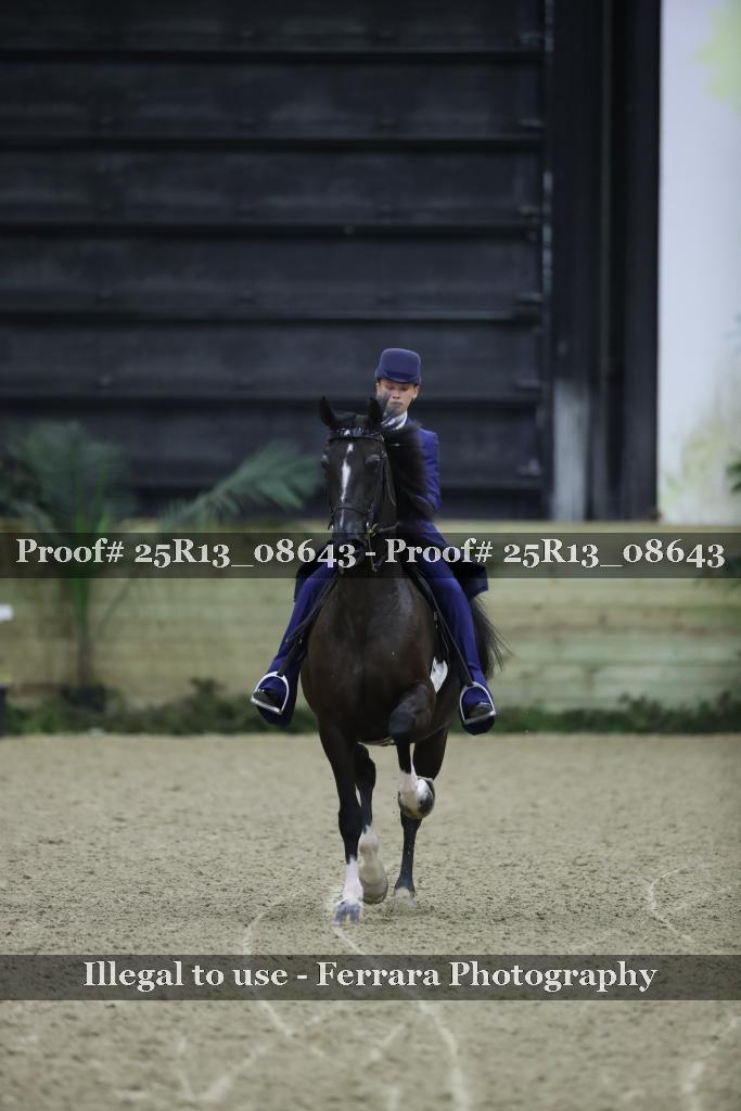 Proof 25R13_08643