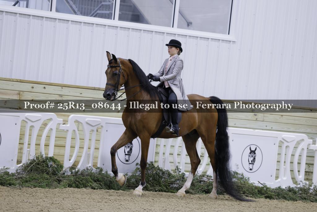 Proof 25R13_08644