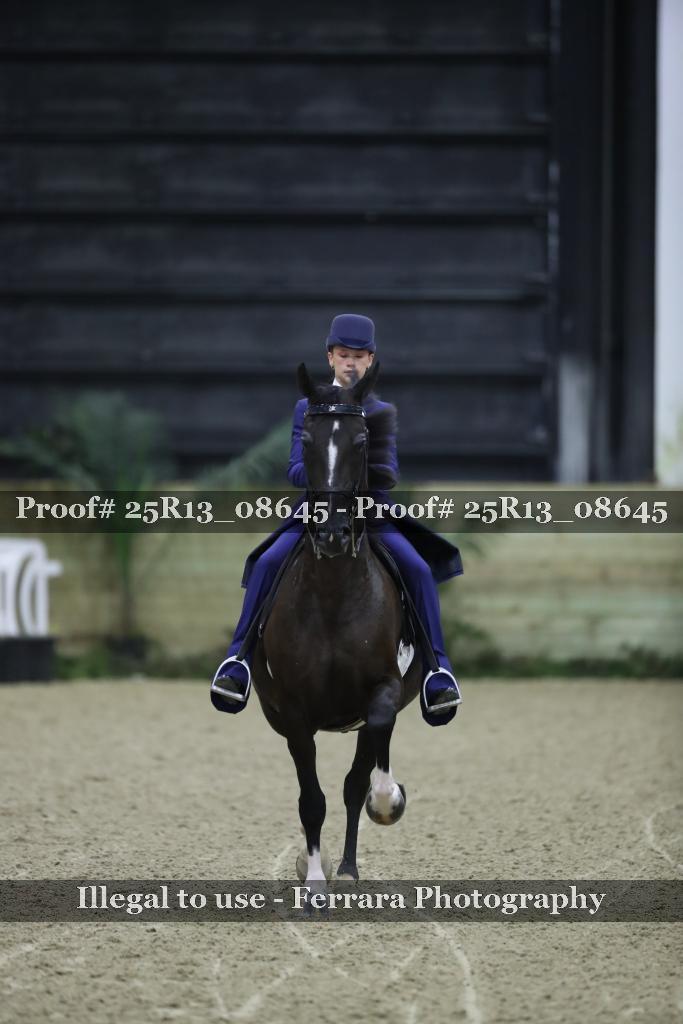 Proof 25R13_08645