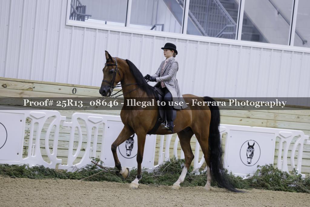 Proof 25R13_08646