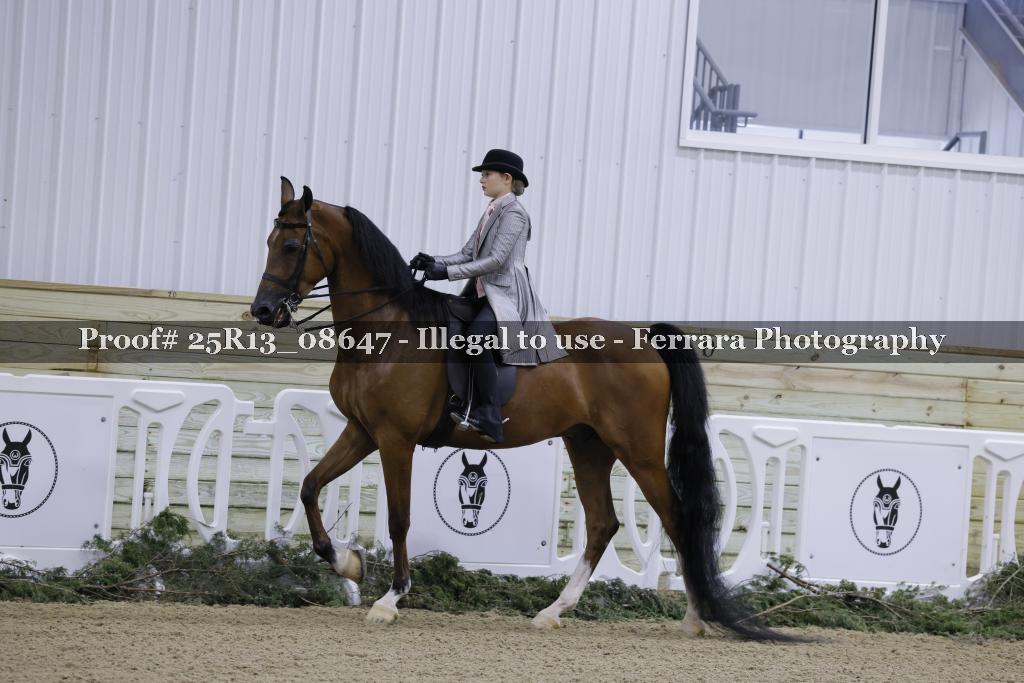 Proof 25R13_08647