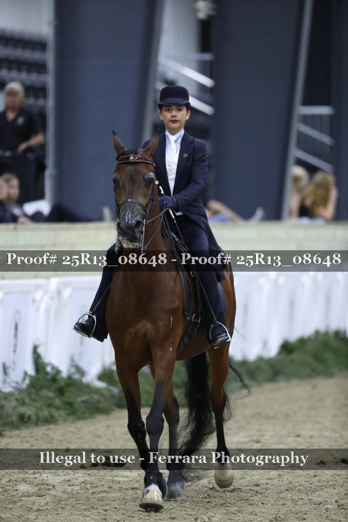 Proof 25R13_08648