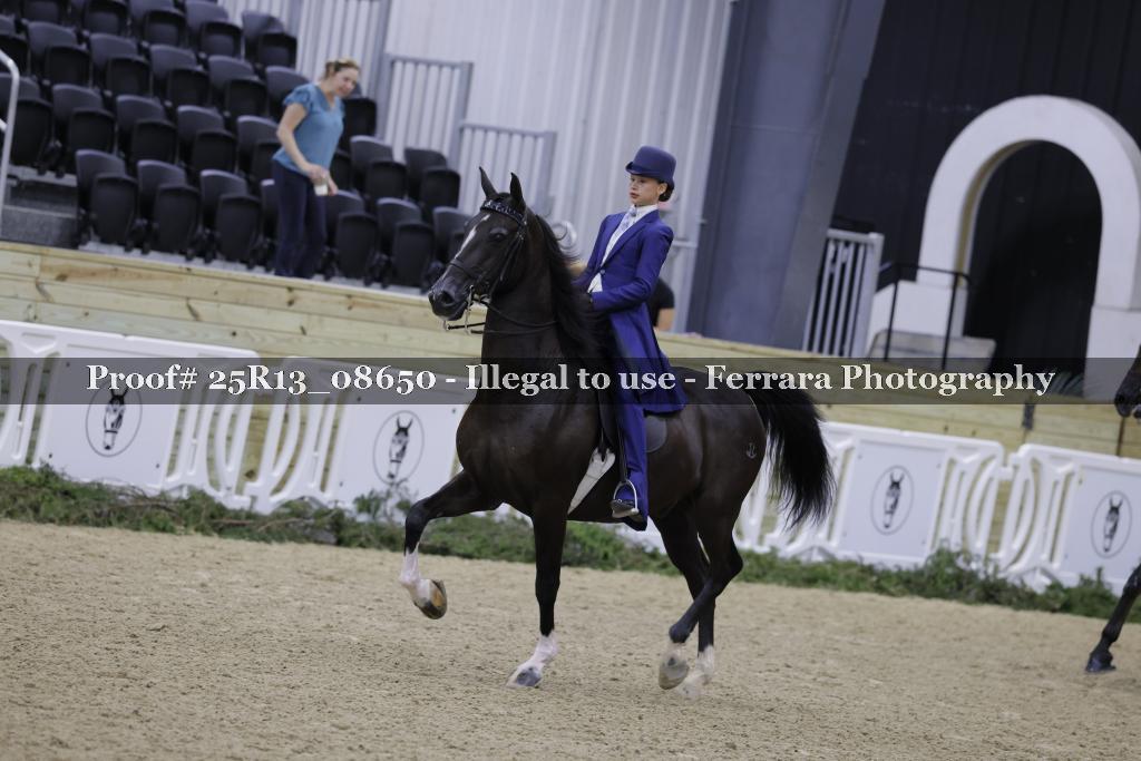 Proof 25R13_08650