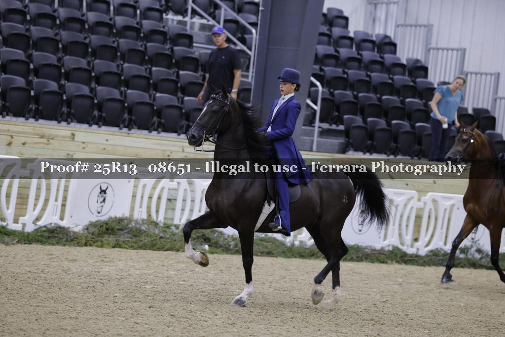 Proof 25R13_08651