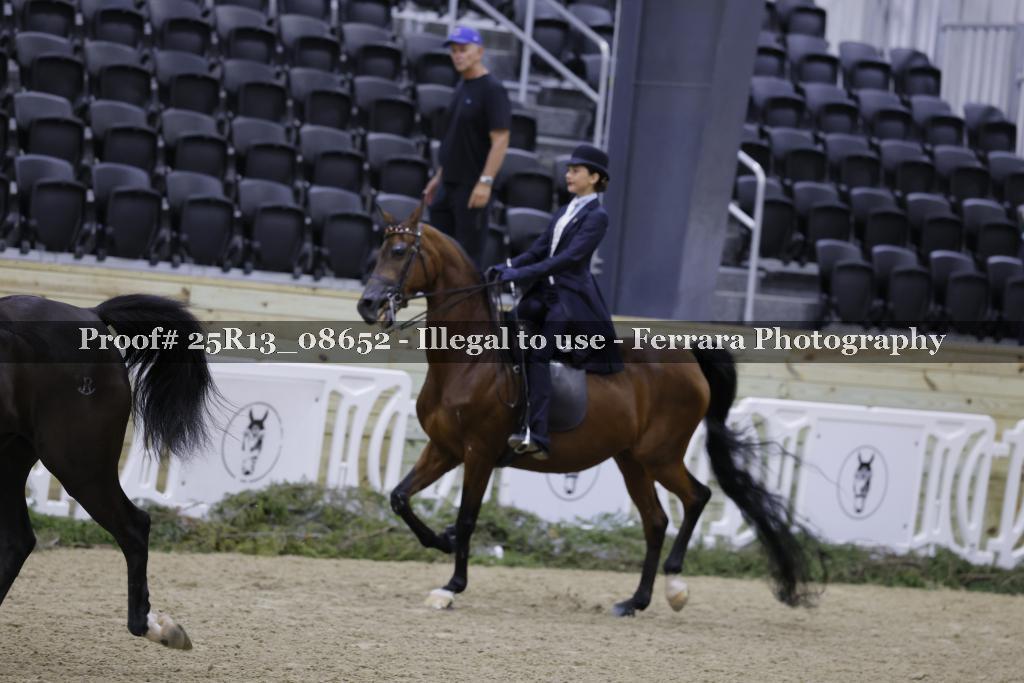 Proof 25R13_08652