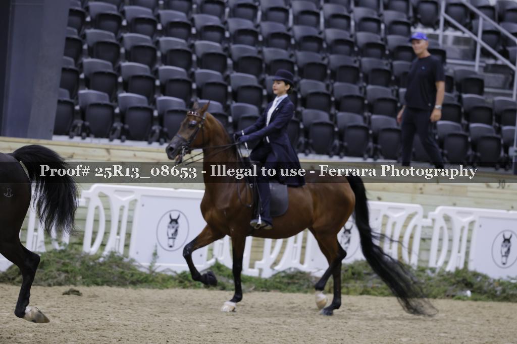 Proof 25R13_08653