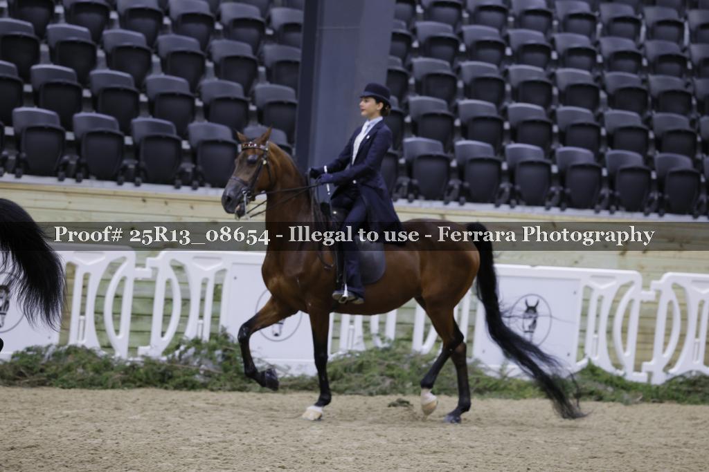 Proof 25R13_08654