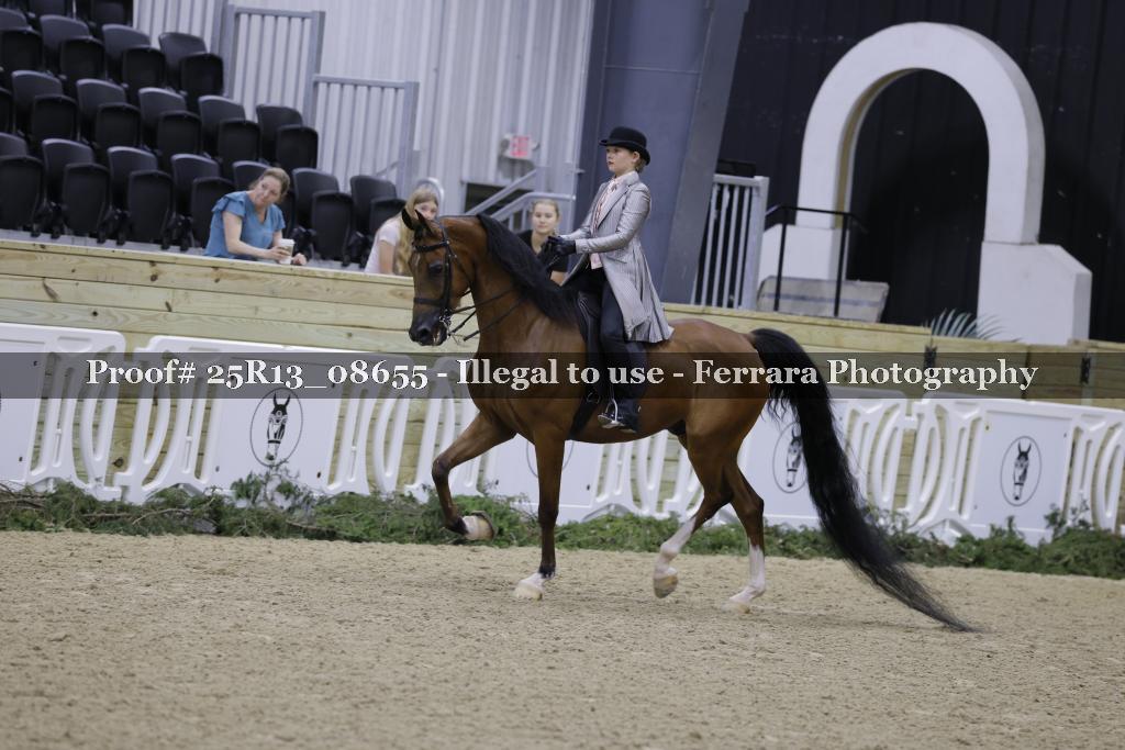 Proof 25R13_08655