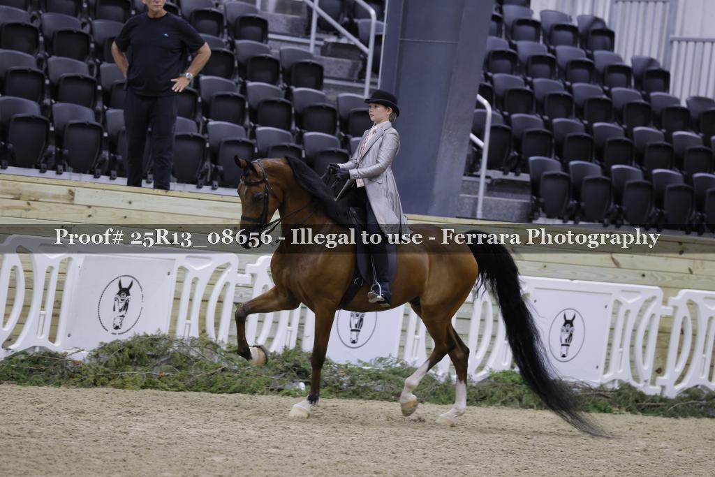 Proof 25R13_08656