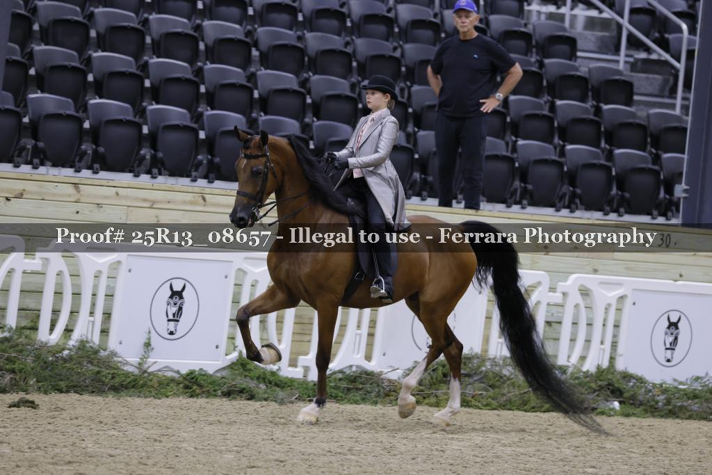 Proof 25R13_08657