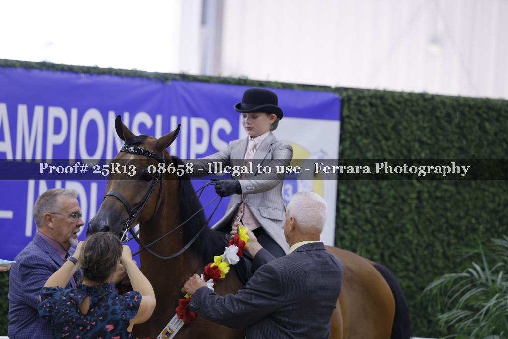 Proof 25R13_08658