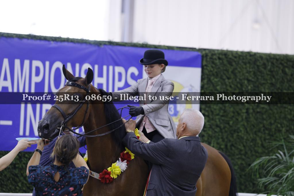 Proof 25R13_08659