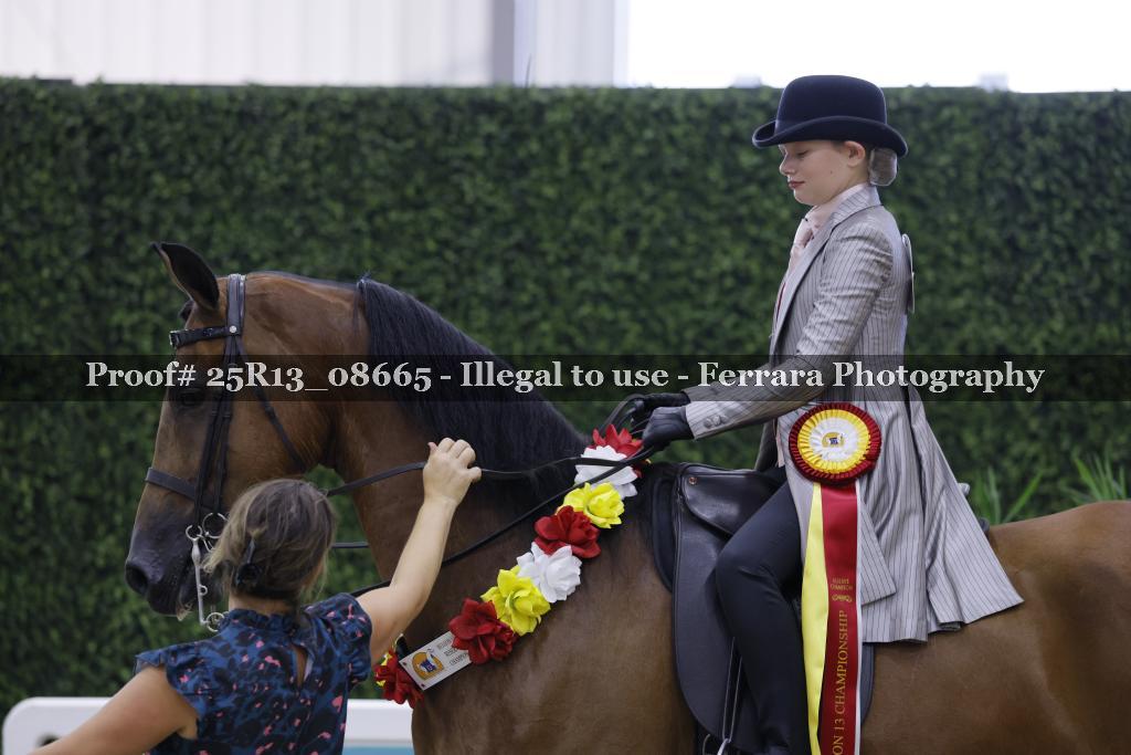 Proof 25R13_08665