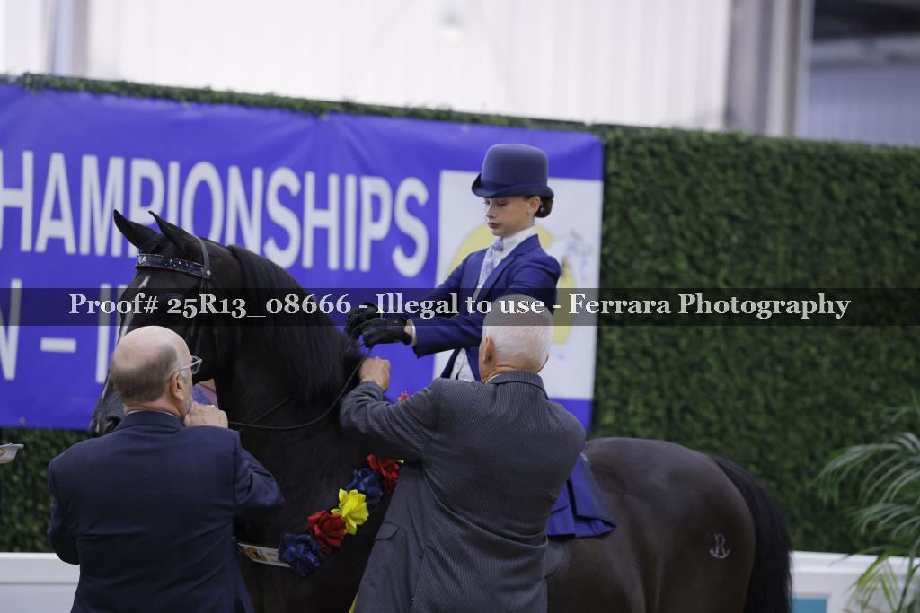 Proof 25R13_08666