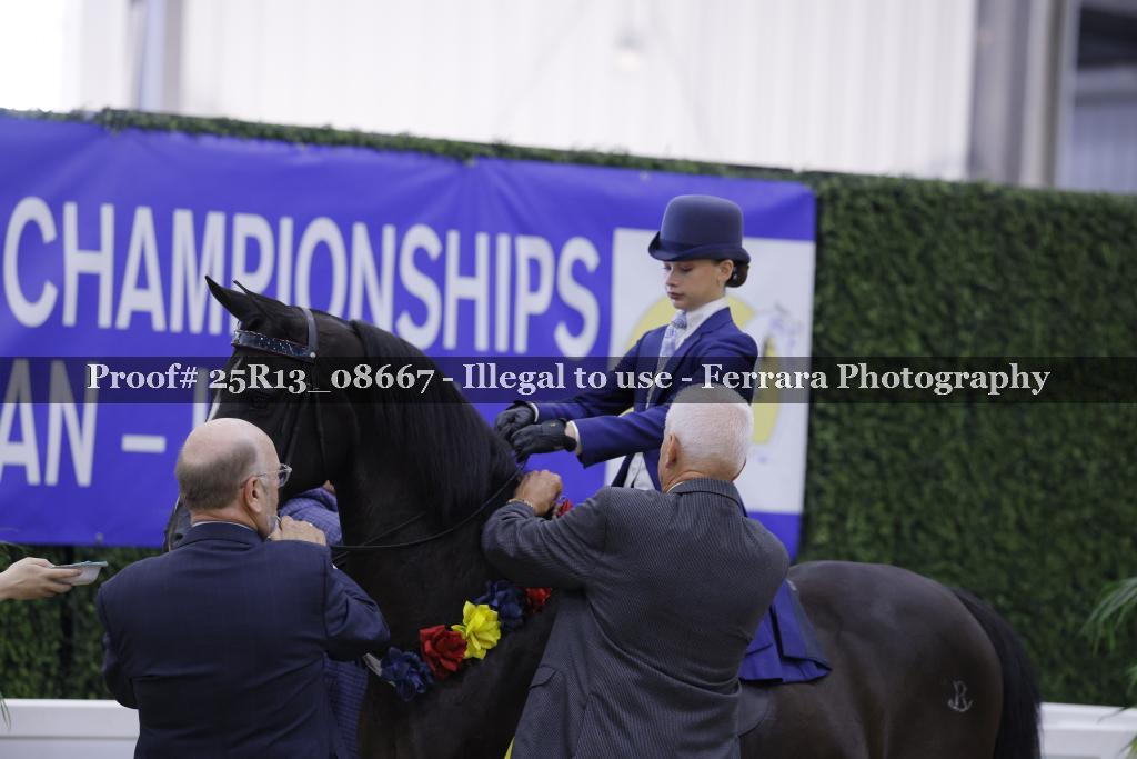 Proof 25R13_08667