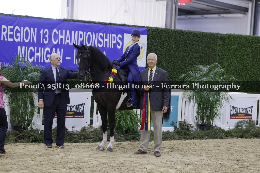 Proof 25R13_08668