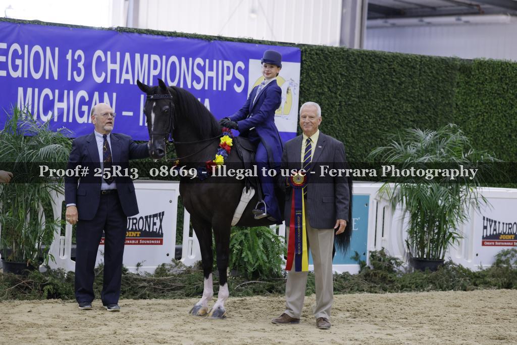 Proof 25R13_08669