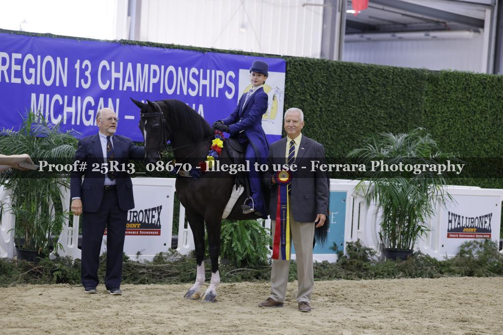 Proof 25R13_08670