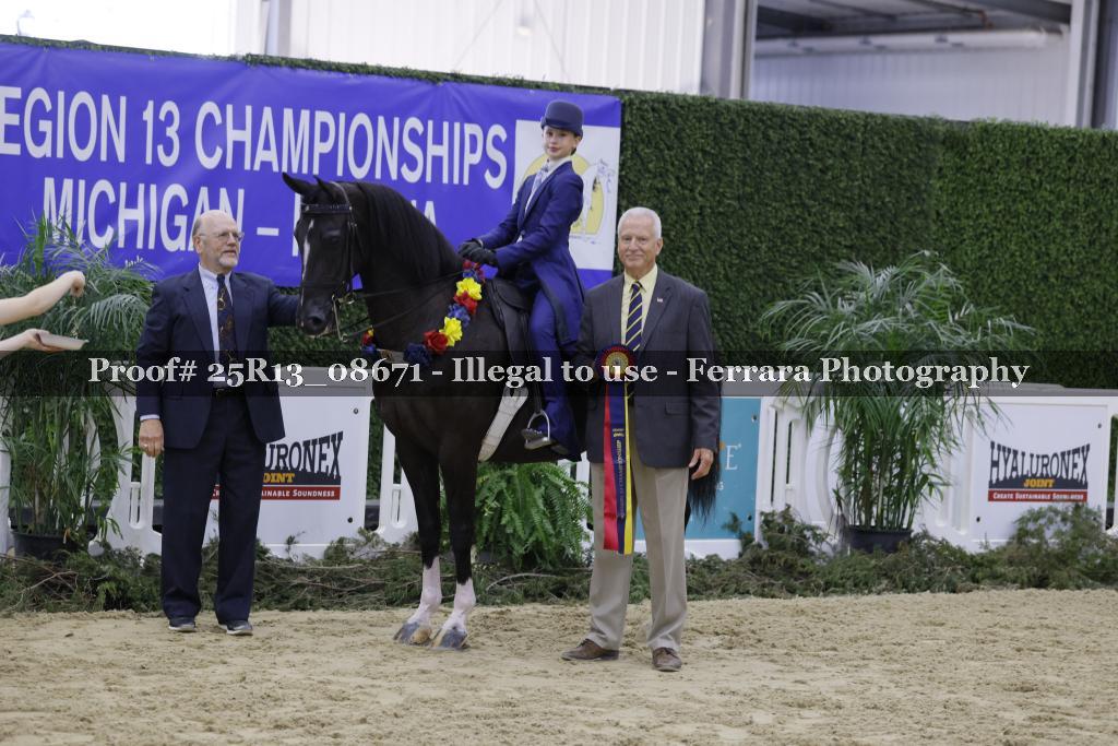 Proof 25R13_08671