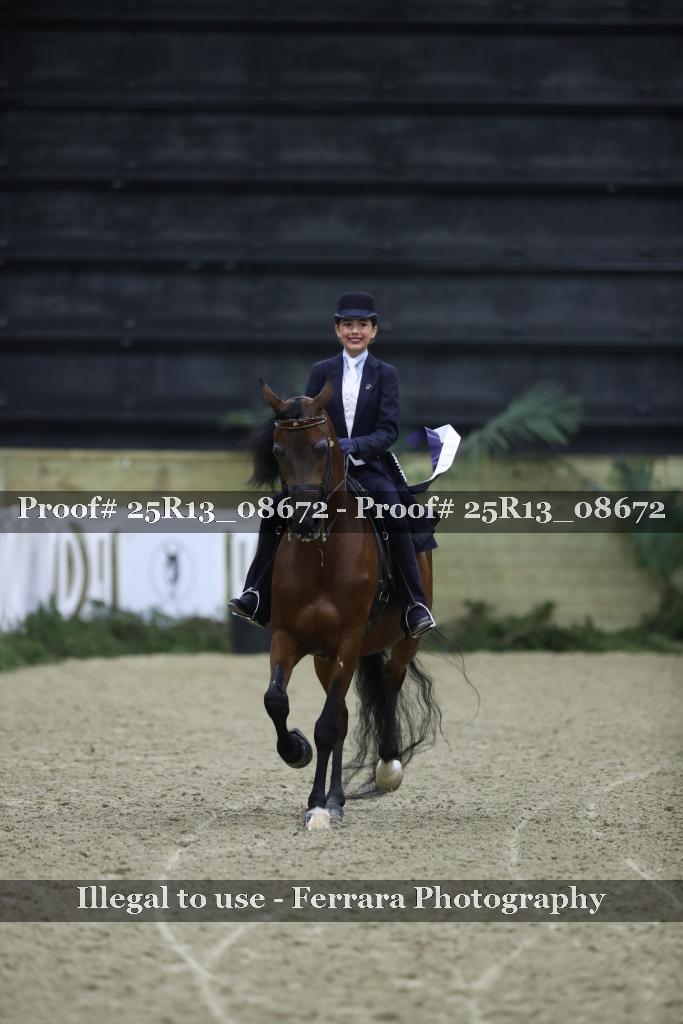 Proof 25R13_08672