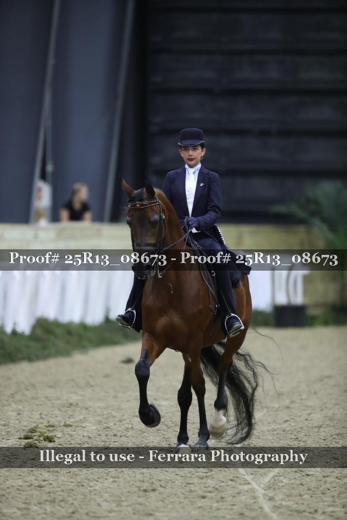 Proof 25R13_08673