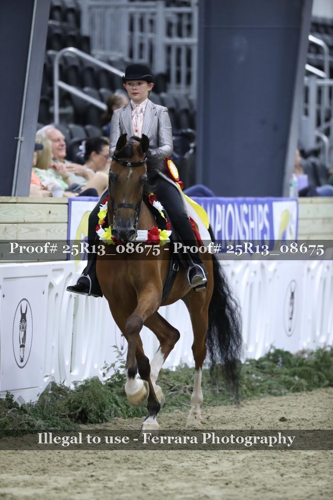 Proof 25R13_08675