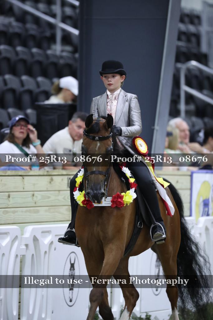 Proof 25R13_08676