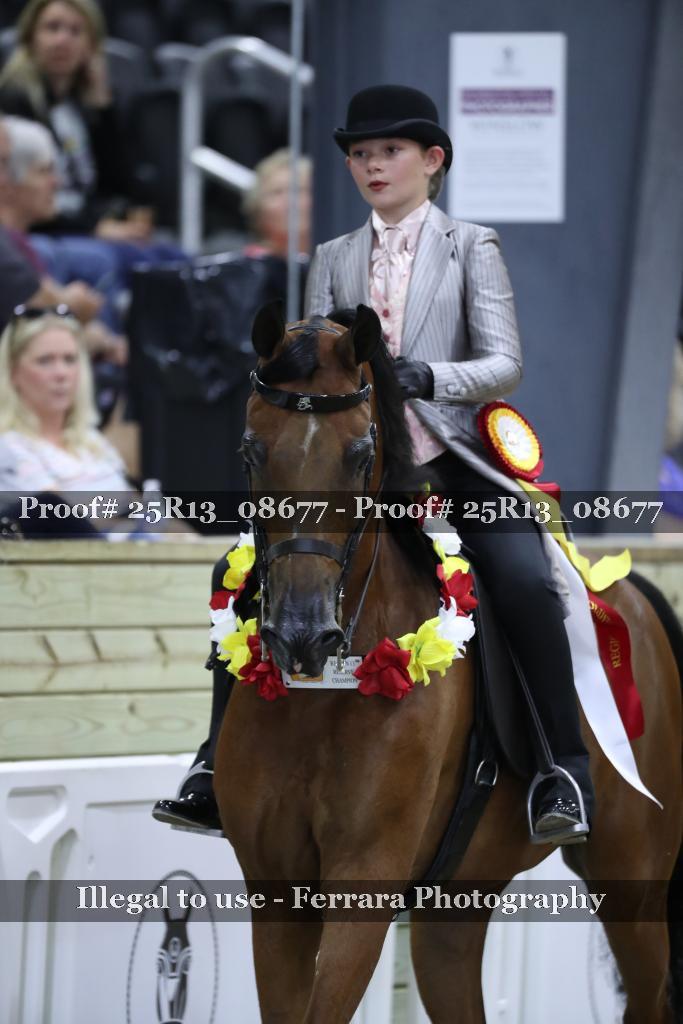 Proof 25R13_08677