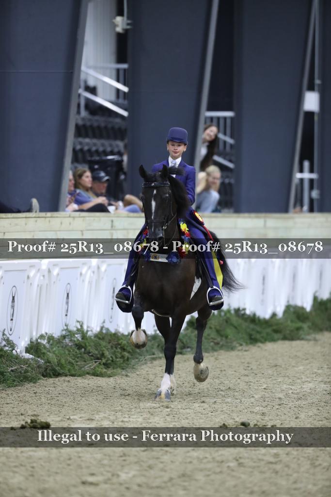 Proof 25R13_08678
