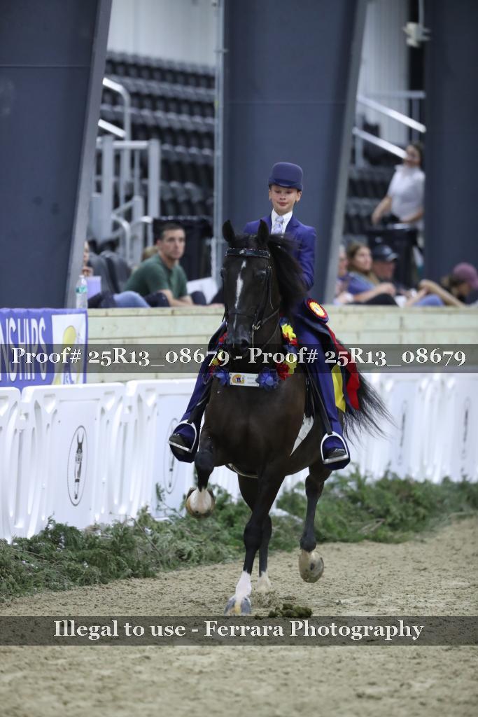 Proof 25R13_08679