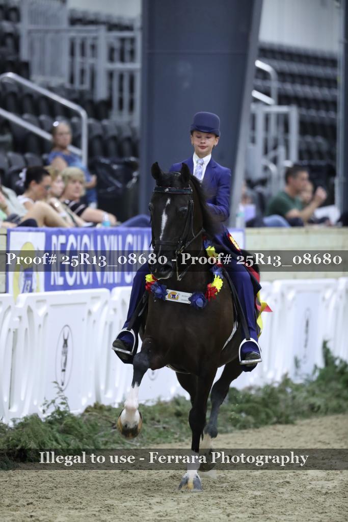 Proof 25R13_08680