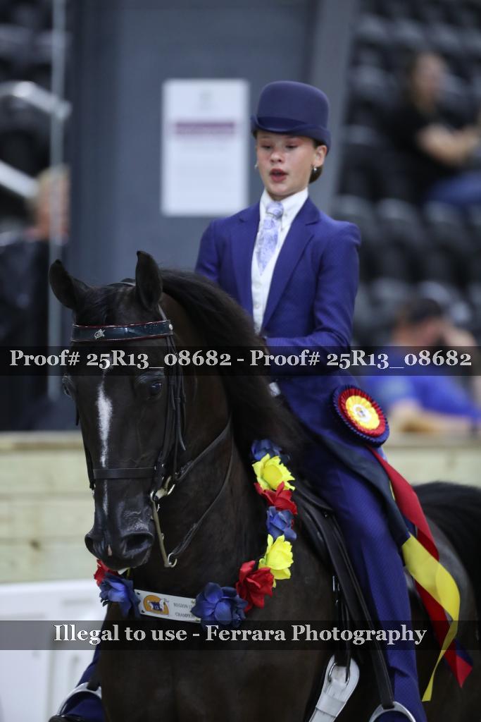 Proof 25R13_08682
