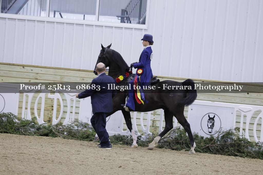 Proof 25R13_08683
