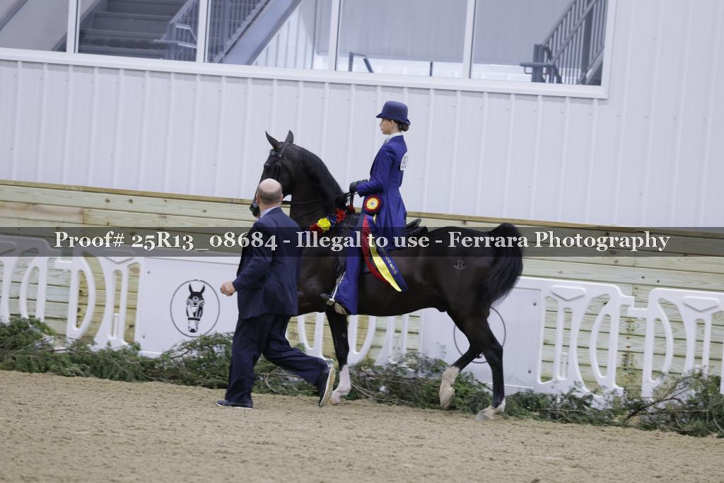 Proof 25R13_08684