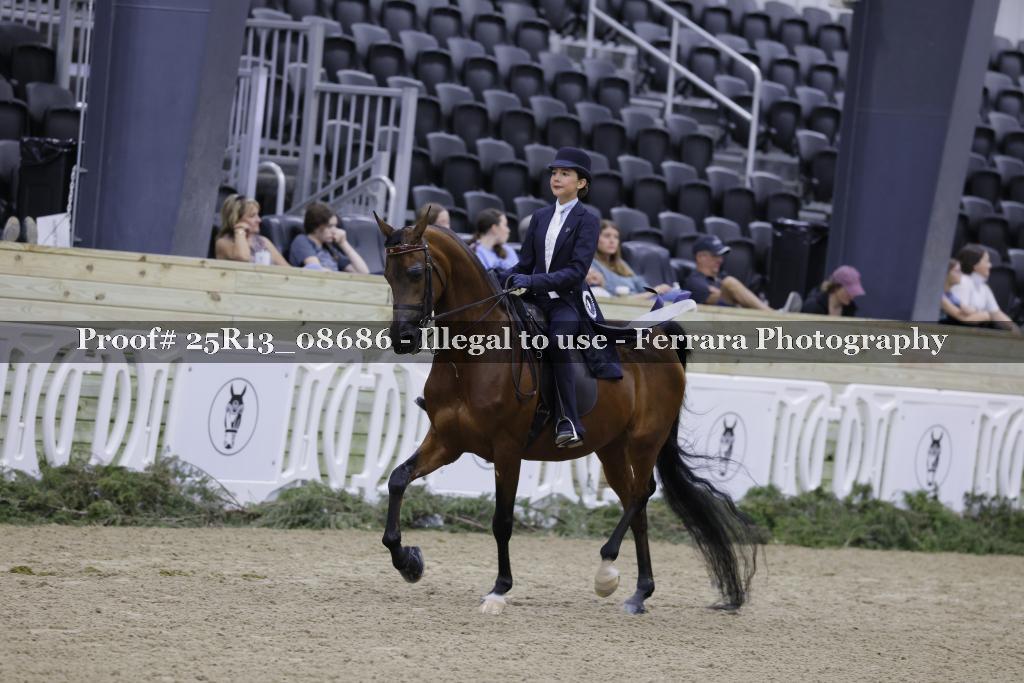 Proof 25R13_08686