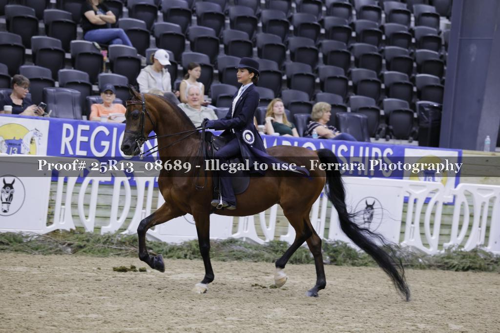 Proof 25R13_08689
