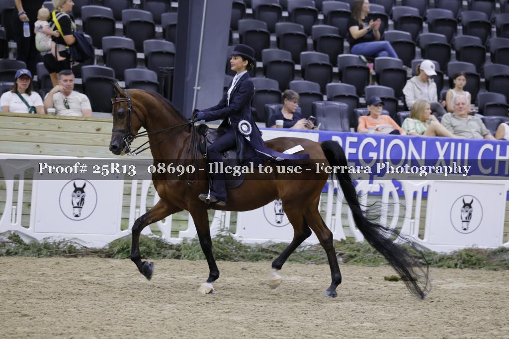 Proof 25R13_08690