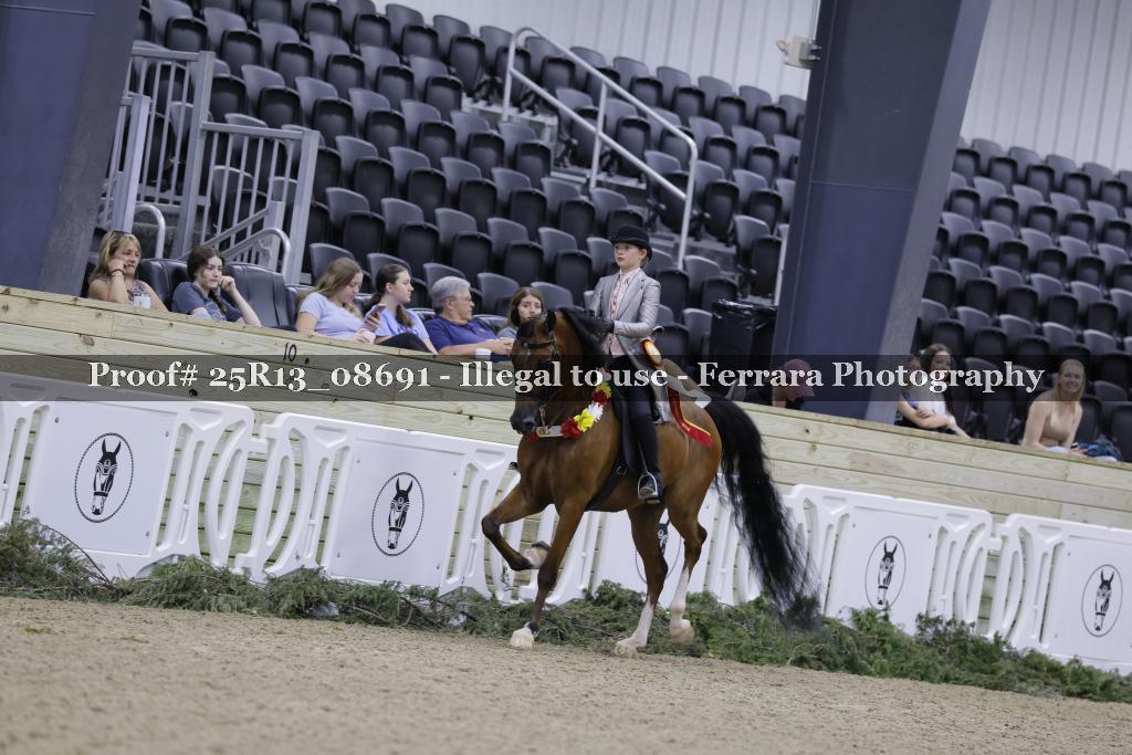 Proof 25R13_08691