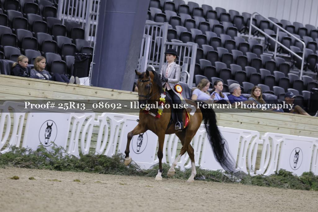 Proof 25R13_08692